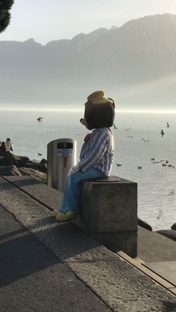 Öffentliche Führung